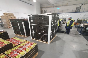 Denmark Fruit Loading Surveyors